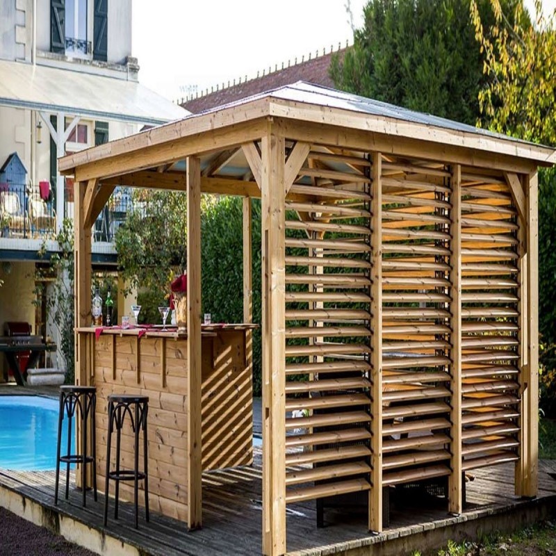 Kiosque de jardin moderne de 6 m2 Hansa Seattle: kit et bois Premium